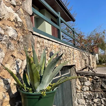 Almond Buna Poolhouse 別荘