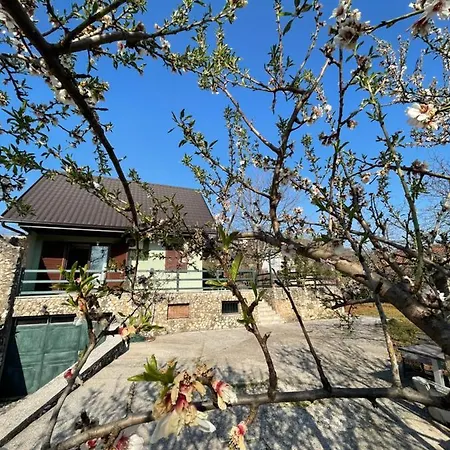 Almond Buna Poolhouse * モスタル