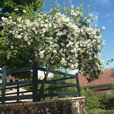 別荘 Almond Buna Poolhouse モスタル